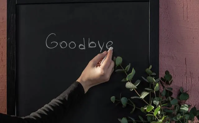 Goodbye